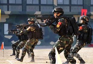 美国特种兵爆料新闻报道,战场真实经历与内幕曝光